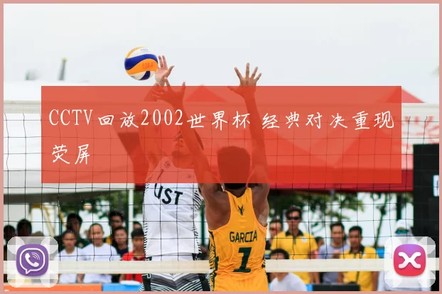 CCTV回放2002世界杯 经典对决重现荧屏