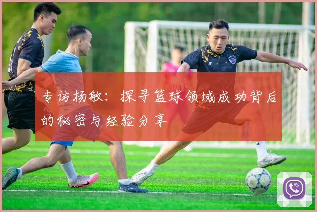 专访杨敏：探寻篮球领域成功背后的秘密与经验分享