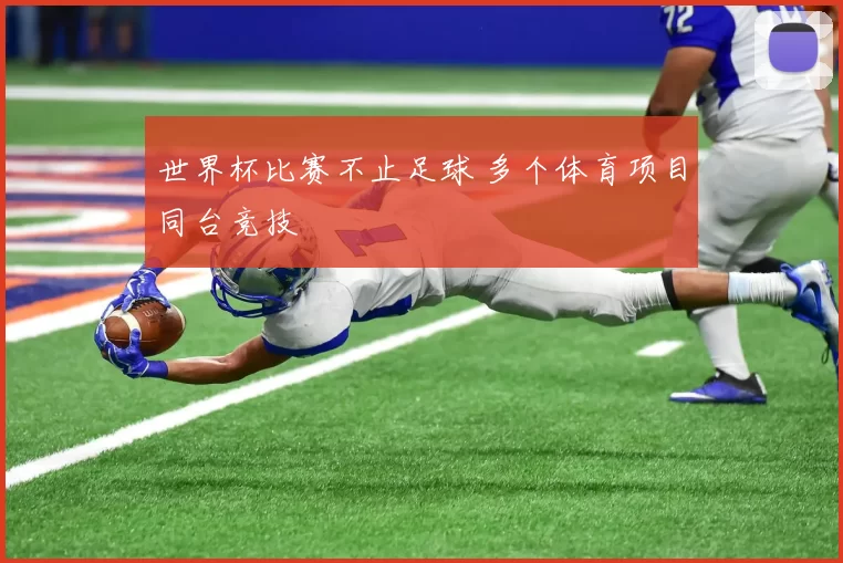 世界杯比赛不止足球 多个体育项目同台竞技