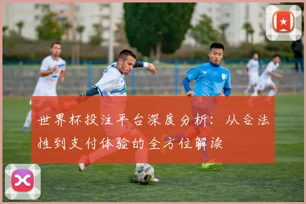 世界杯投注平台深度分析:从合法性到支付体验的全方位解读