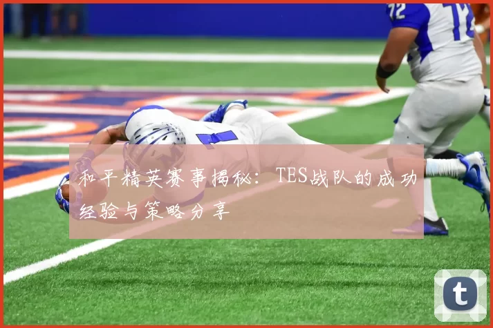 和平精英赛事揭秘:TES战队的成功经验与策略分享