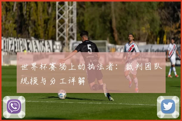 世界杯赛场上的执法者:裁判团队规模与分工详解