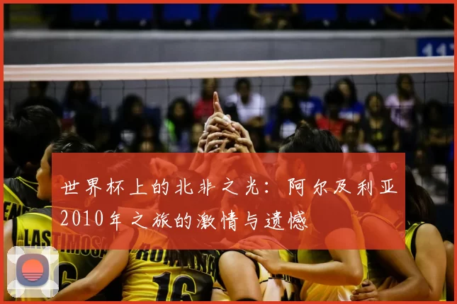 世界杯上的北非之光:阿尔及利亚2010年之旅的激情与遗憾
