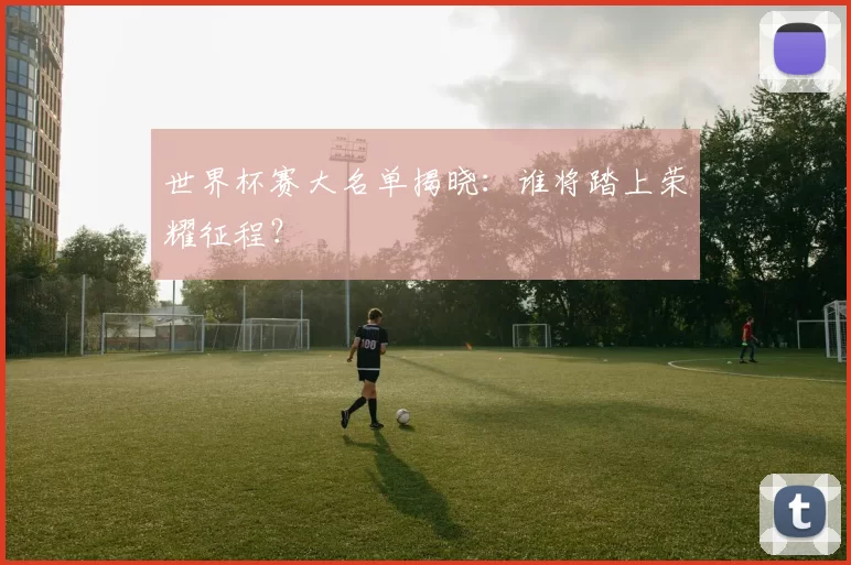 世界杯赛大名单揭晓:谁将踏上荣耀征程?