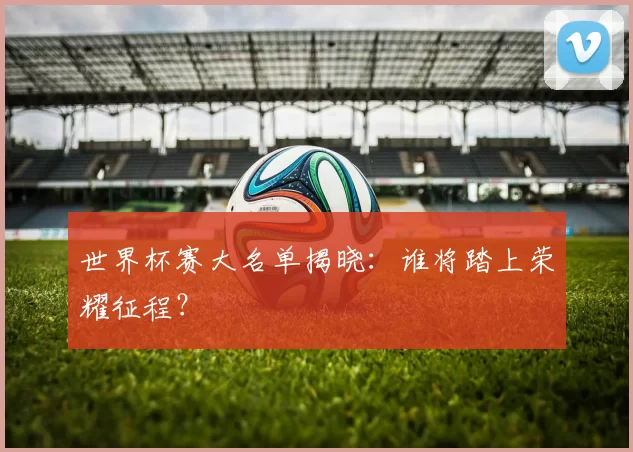 世界杯赛大名单揭晓:谁将踏上荣耀征程?